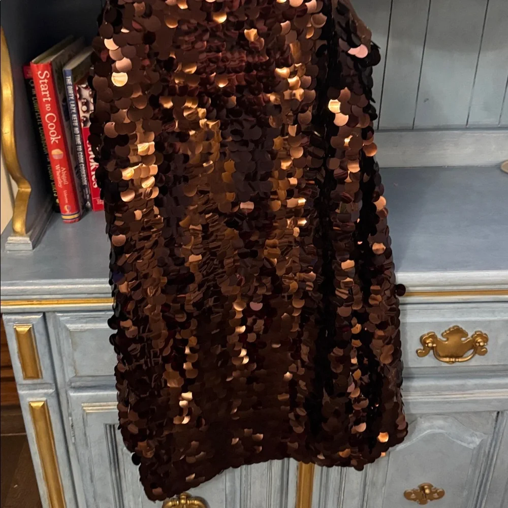 Brown Sequin Dress medium - Picture 3 of 3